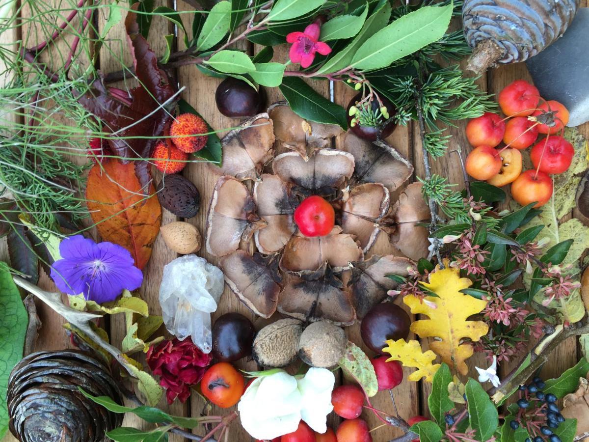La Source, Vegetarian Guest House Chabeuil Ngoại thất bức ảnh